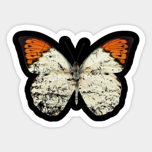 Butterfly Sticker